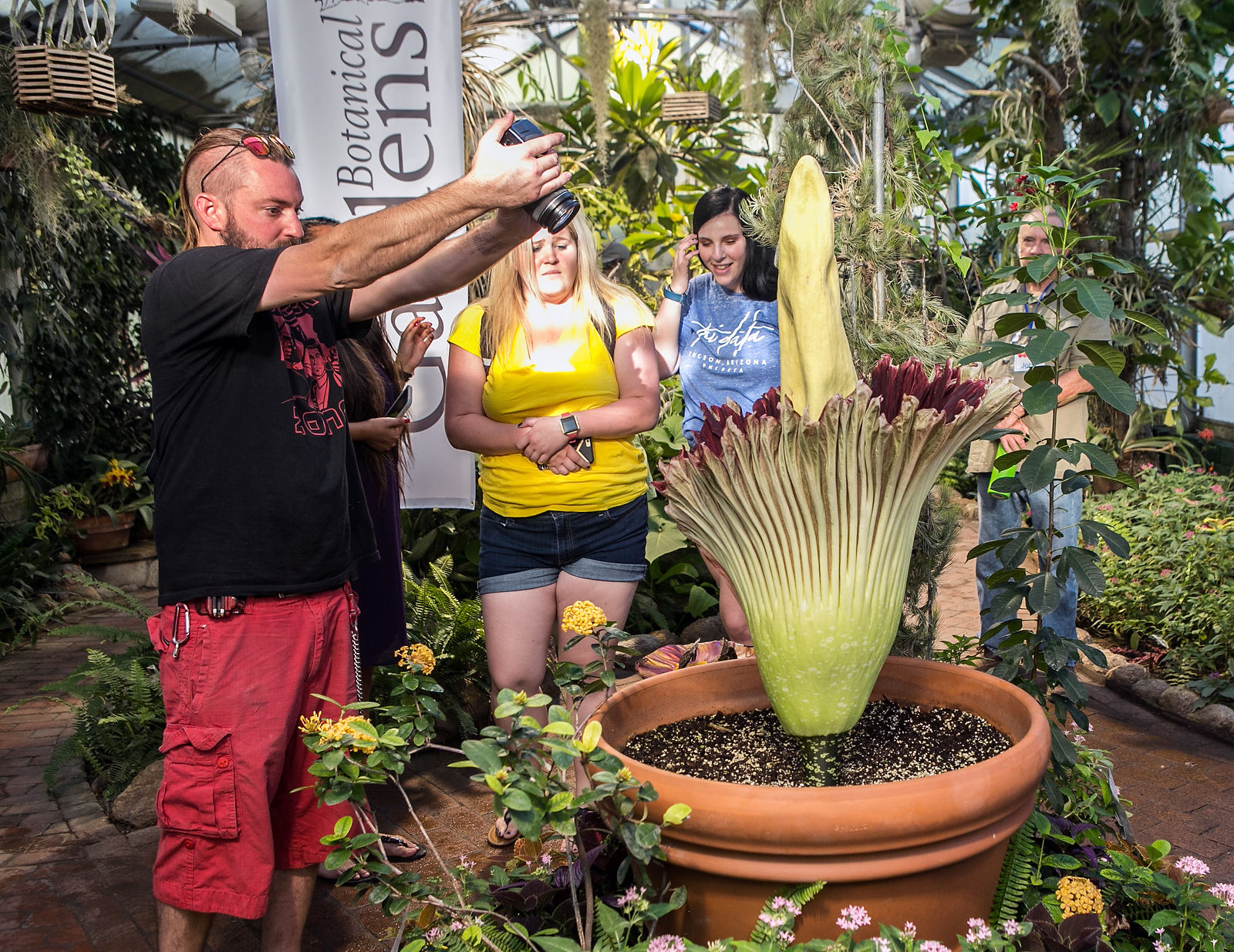 Corpse flower